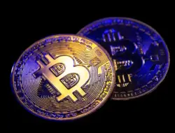 Peristiwa Halving BTC dan Implikasinya terhadap Harga Pasar Bitcoin