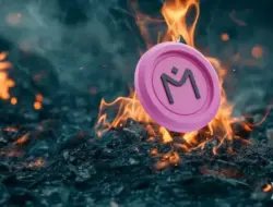 CEO Mantra Usulkan Bakar 300 Juta Token OM, Harga Kripto Sempat Melonjak 30%