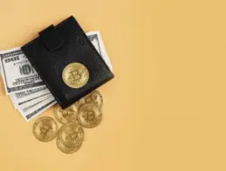 Memilih Dompet Kripto yang Aman: Hot Wallet, Cold Wallet, dan Custodial Wallet