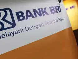 Analisis Saham PT Bank Rakyat Indonesia (Persero) Tbk (BBRI): Evaluasi Fundamental dan Estimasi Harga Wajar 2025